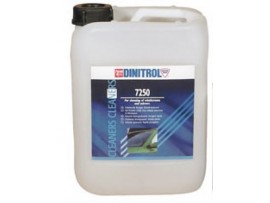 Stiklų bei veidrodžių valiklis DINITROL 7250 5L