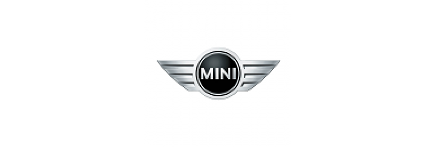 MINI (28)