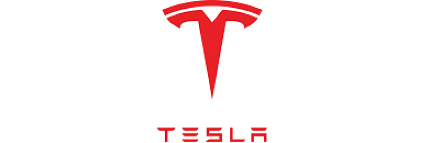 TESLA (11)